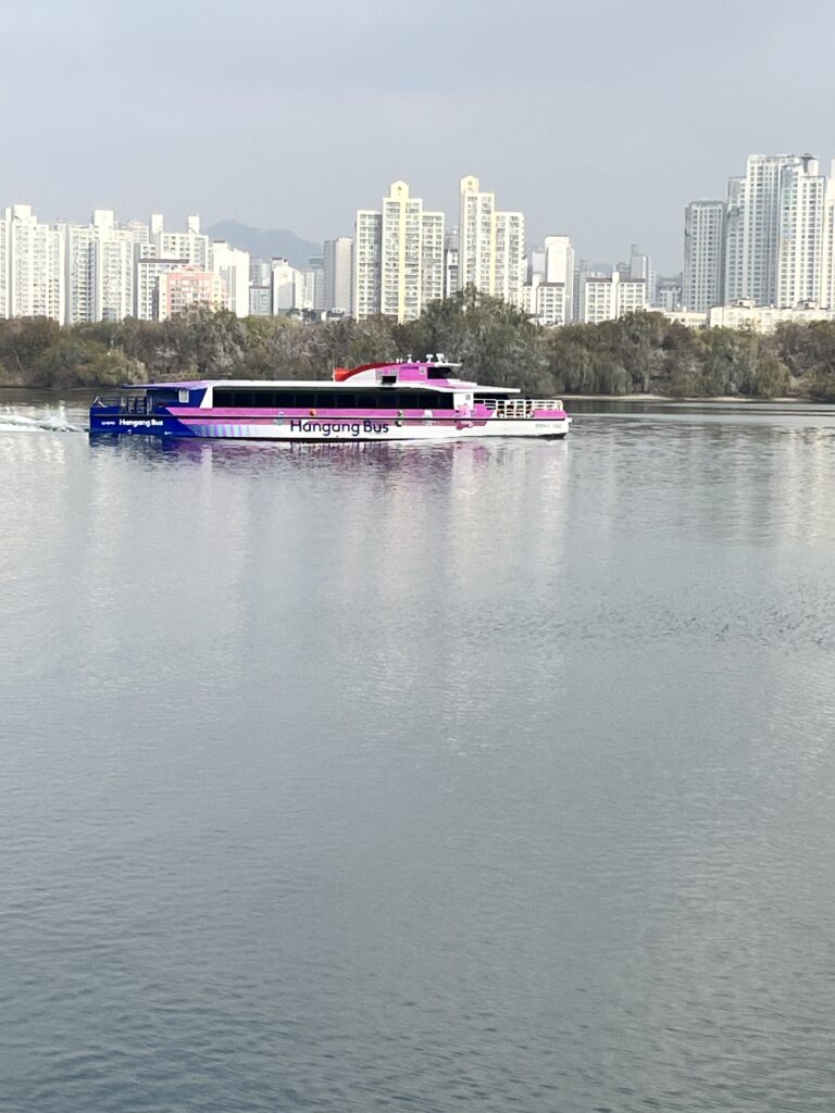 汝矣島漢江公園から漢江をみた光景