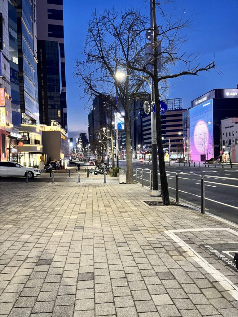 House of Shinsegae Cheongdamに行く途中の狎鴎亭の風景