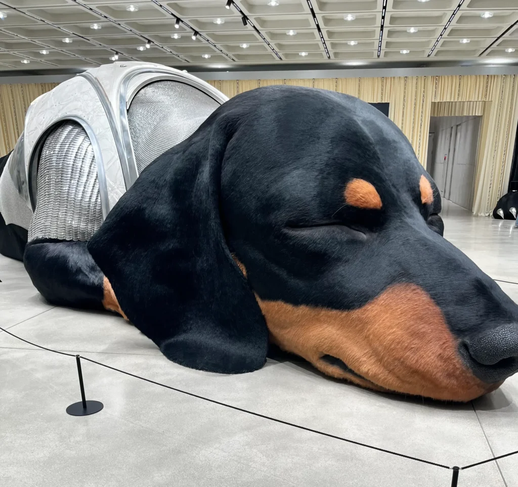 ホーム画面の このブログでわかること
