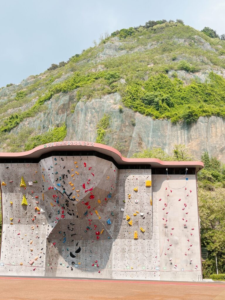 龍馬瀑布公園
陸上競技場の一角に大型のクライミングウォールが設置されています