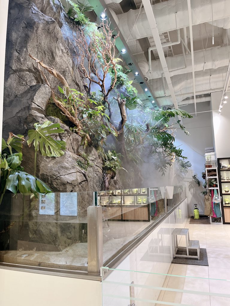 ロッテモール恩平ダイナミックな観葉植物なども配置されていて、見ているだけでも楽しめます