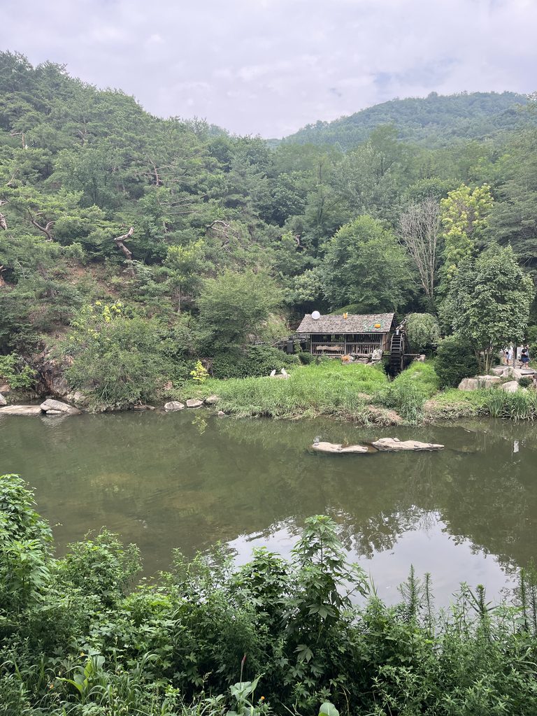 「西大門弘済滝（서대문 홍제폭포）」と「Cafe Pokpo（카페 폭포）」緑豊かな山と澄んだ川の向こうに
風情のある水車小屋も見えましたよ