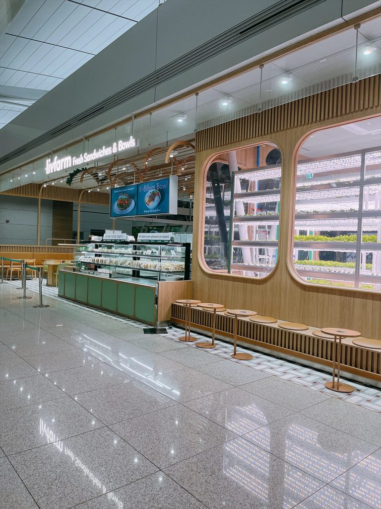 仁川国際空港 第1旅客ターミナル（T1）の免税エリア｜店内で育てる水耕栽培のグリーンファームが目を引くおしゃれな外観です
