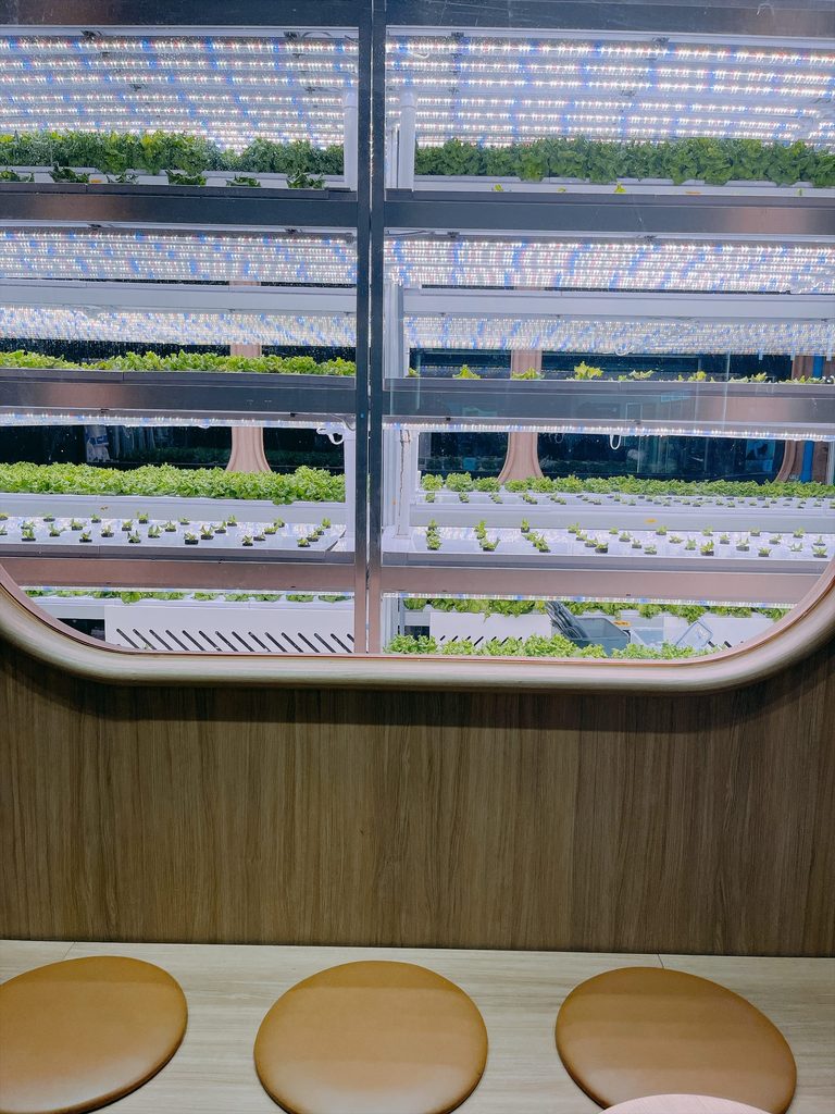 仁川国際空港 第1旅客ターミナル（T1）の免税エリア｜水耕栽培のディスプレイ前にはカウンター席も用意されています